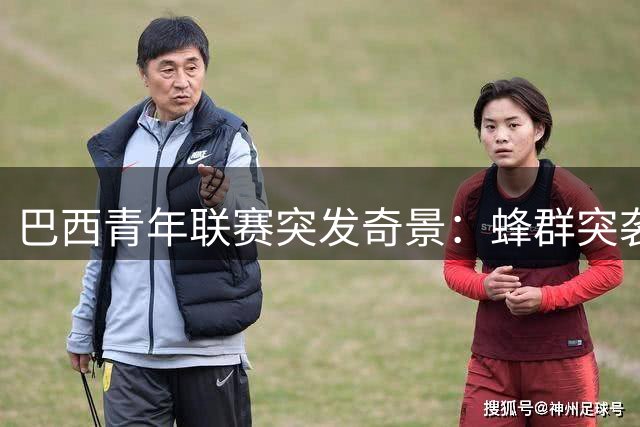 巴西青年联赛突发奇景：蜂群突袭致比赛中断，球员集体卧倒避蜂