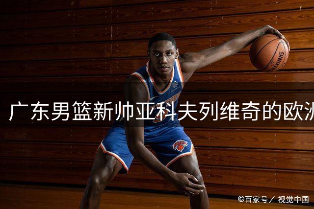 广东男篮新帅亚科夫列维奇的欧洲篮球之路