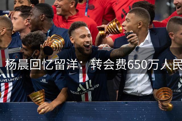杨晨回忆留洋：转会费650万人民币，附带邵佳一等人赴德国培训