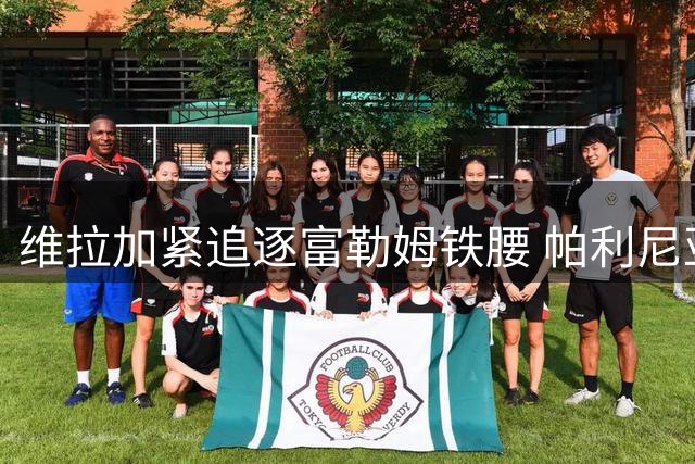 维拉加紧追逐富勒姆铁腰 帕利尼亚倾向租借加盟